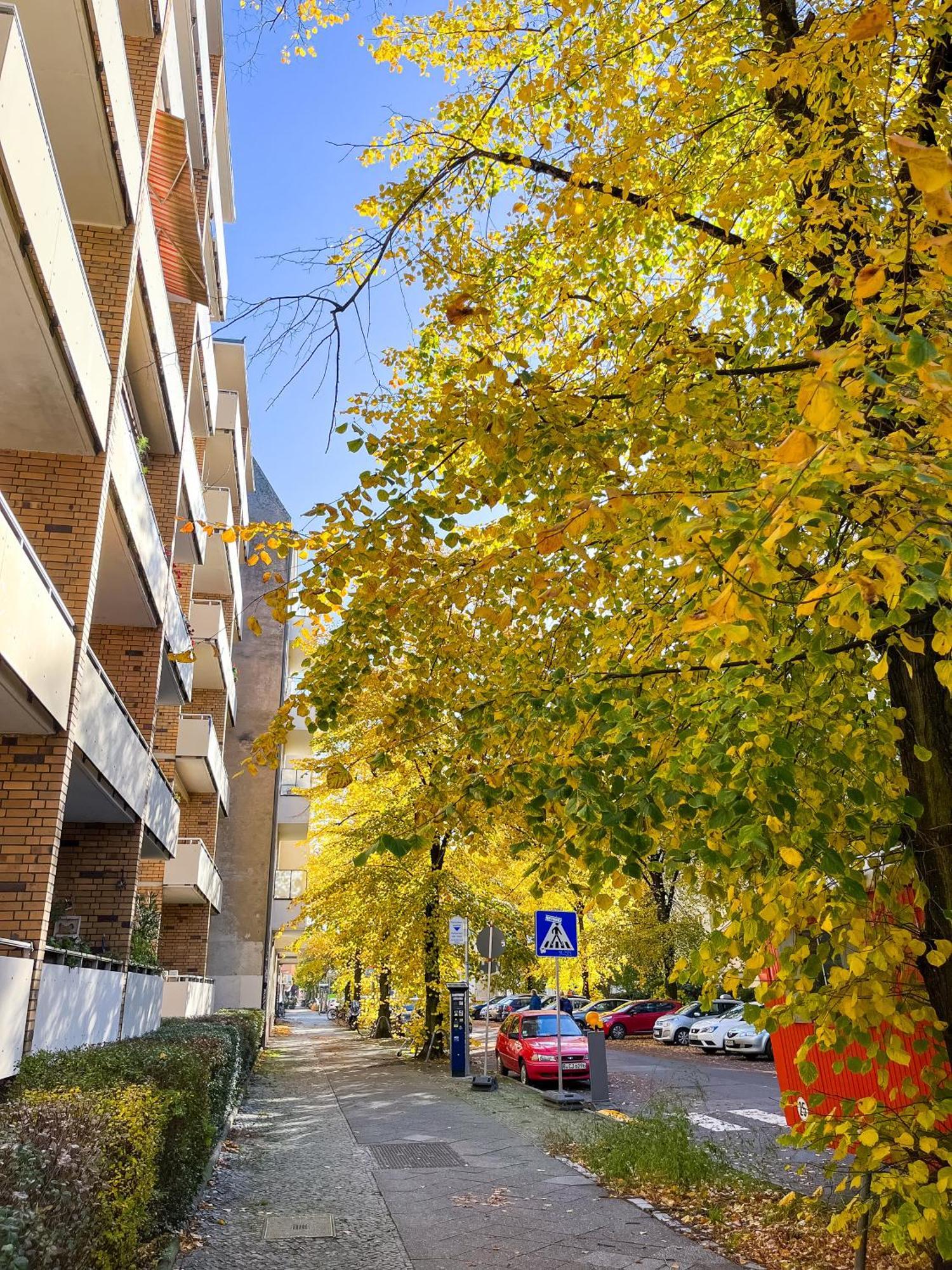 01 Bedroom In Mitte-Up To 5 People-Private Free Parking Berlin Exteriör bild